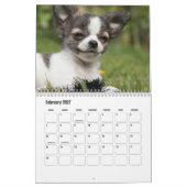 Chihuahua Dog Calendar Kalender (Feb 2027)