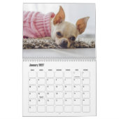 Chihuahua Dog Calendar Kalender (Jan 2027)