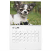 Chihuahua Dog Calendar Kalender (Feb 2026)