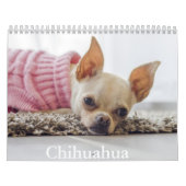 Chihuahua Dog Calendar Kalender (Titelbild)