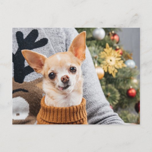 Chihuahua Dog Christmas w/Christmas Tree Post Card Postkarte (Vorderseite)