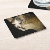 Chihuahua Dog Drink Untersetzer (angewinkelt)