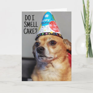 CHIHUAHUA DOG FUNNY BIRTHDAY CARD DANKESKARTE