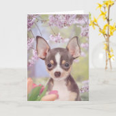 Chihuahua Dog Grußkarte Karte (Gelbe Blume)