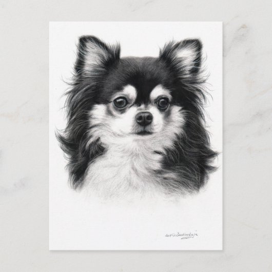 Chihuahua Dog Handgemälde Postkarte (Vorderseite)