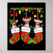 Chihuahua Dog In Christmas Socks Funny Pet Dog Lov Poster (Vorne)
