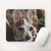 Chihuahua Dog Mousepad (Mit Mouse)