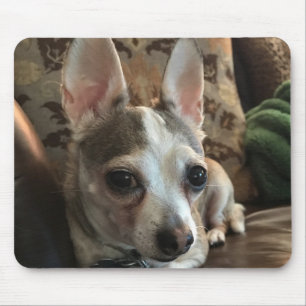 Chihuahua Dog Mousepad