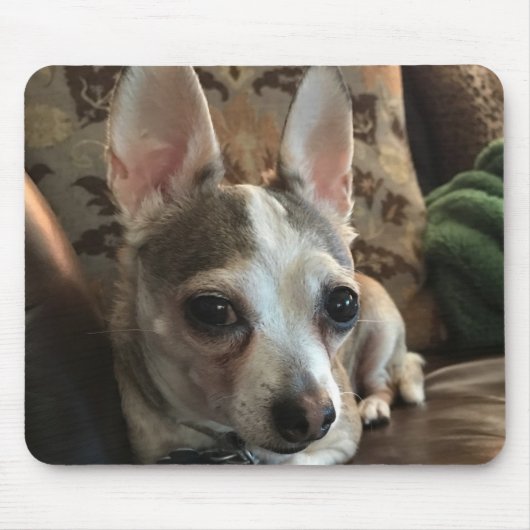 Chihuahua Dog Mousepad (Vorne)
