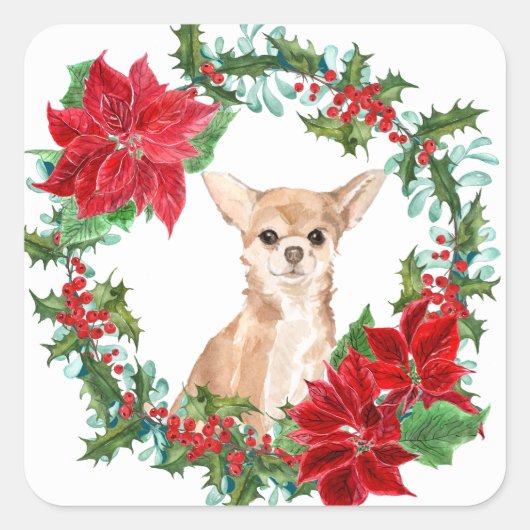 Chihuahua Dog Poinsettia Weihnachtsschaden Quadratischer Aufkleber (Vorderseite)