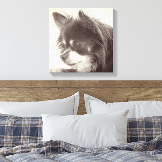 Chihuahua Dog Portrait Leinwanddruck (Insitu (Schlafzimmer))
