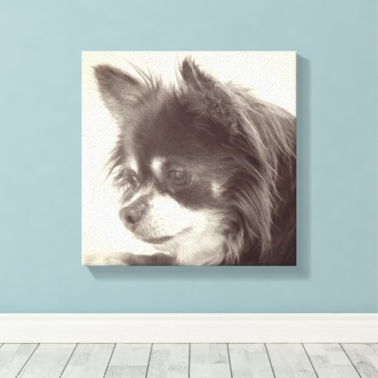 Chihuahua Dog Portrait Leinwanddruck (Insitu (Holzboden))