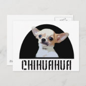 Chihuahua Dog Postkarte (Vorne/Hinten)