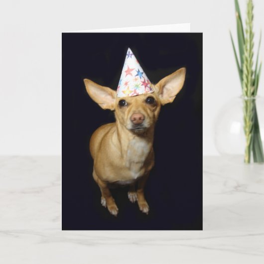 Chihuahua Dog Teil Hat Geburtstag Grußkarte Karte (Vorderseite)