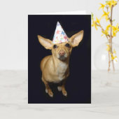 Chihuahua Dog Teil Hat Geburtstag Grußkarte Karte (Gelbe Blume)