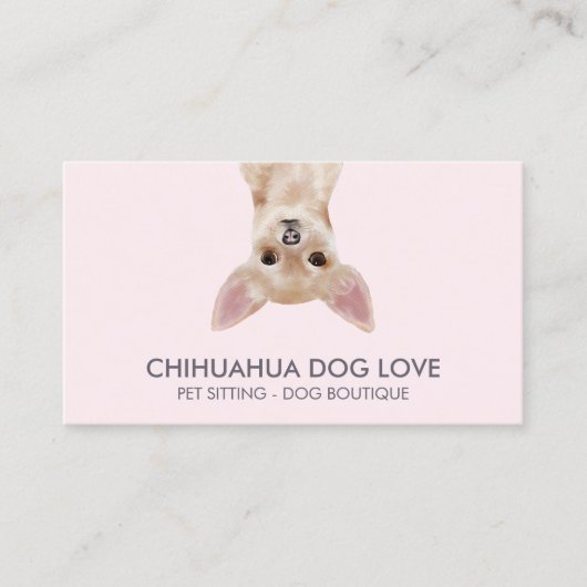 Chihuahua Dog Visitenkarte (Vorderseite)