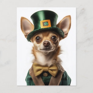 Chihuahua Dressed Leprechaun St Patrick's Day Postkarte