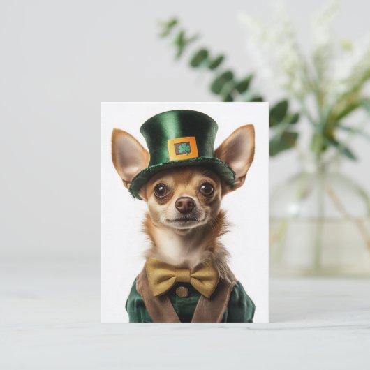 Chihuahua Dressed Leprechaun St Patrick's Day Postkarte (Stehend Vorderseite)