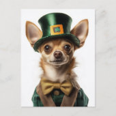 Chihuahua Dressed Leprechaun St Patrick's Day Postkarte (Vorderseite)