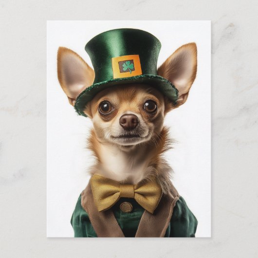 Chihuahua Dressed Leprechaun St Patrick's Day Postkarte (Vorderseite)