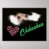 Chihuahua Eyes mit kurzer Haarfarbe Poster (Vorne)
