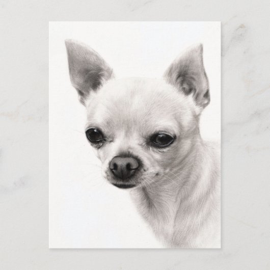 Chihuahua Face Study Hand Painted Artwork Postkarte (Vorderseite)