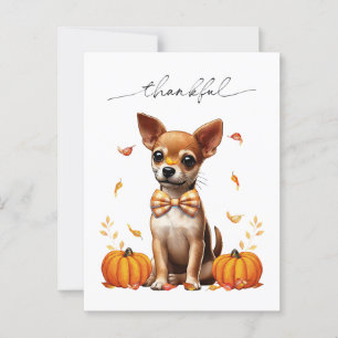 Chihuahua Fall Dankbare Erntedank Grußkarte Postkarte