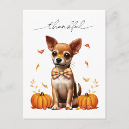 Chihuahua Fall Dankbare Erntedank Grußkarte Postkarte