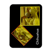 Chihuahua Flexible Foto Magnet (Vertikal)