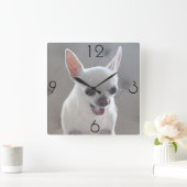 Chihuahua Foto Large Square Wall Clock Quadratische Wanduhr (Zuhause)