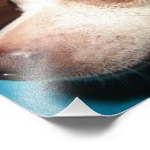 Chihuahua Fotodruck (Ecke)