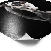 Chihuahua Fotodruck (Ecke)