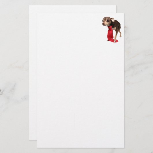 Chihuahua-Führungskraft Briefpapier (Vorne/Hinten)