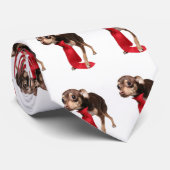 Chihuahua-Führungskraft Krawatte (Gerollt)