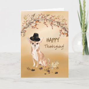 Chihuahua Funny Pilgrim Hat Erntedank Karte