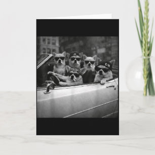 Chihuahua Gangster Hund Straße Lustig Chihuahua Ra Karte