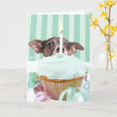 Chihuahua Geburtstagstorte Karte (Gelbe Blume)