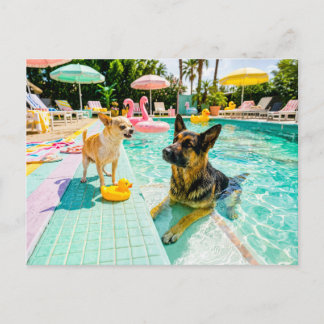 Chihuahua gegen Schäferhund-Ente Postkarte