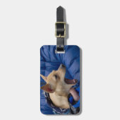 Chihuahua Gepäckanhänger (Vorderseite vertikal)