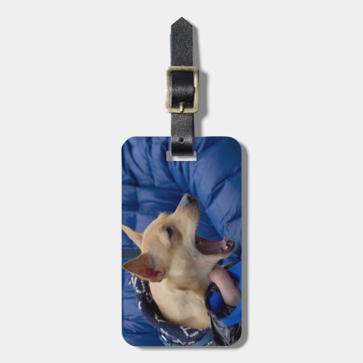 Chihuahua Gepäckanhänger (Vorderseite vertikal)
