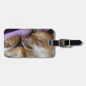 Chihuahua Gepäckanhänger (Vorderseite horizontal)