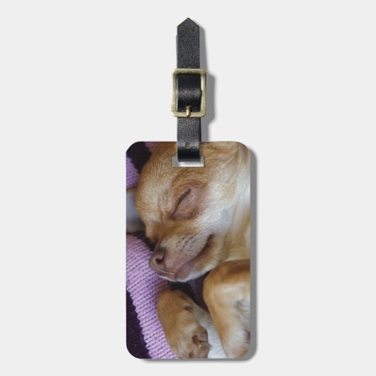 Chihuahua Gepäckanhänger (Vorderseite vertikal)