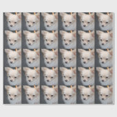 Chihuahua Geschenkpapier (Flach)