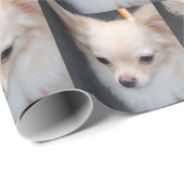 Chihuahua Geschenkpapier (Rolleneckpunkt)