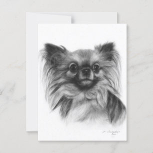 Chihuahua-Gesicht - handgemalt Pet Portrait Postkarte