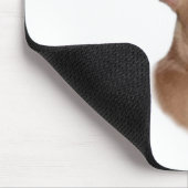 Chihuahua (glatt) Geschichtsdesign Mousepad (Ecke)