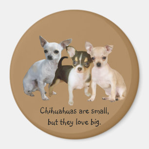 Chihuahua-glücklicher Trio-Magnet Magnet