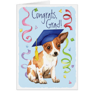Chihuahua Graduate