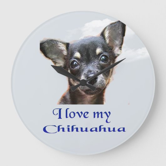 Chihuahua Große Wanduhr (Vorderseite)