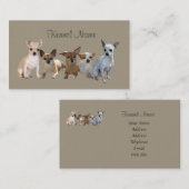 Chihuahua-Gruppen-Visitenkarte Visitenkarte (Vorne/Hinten)